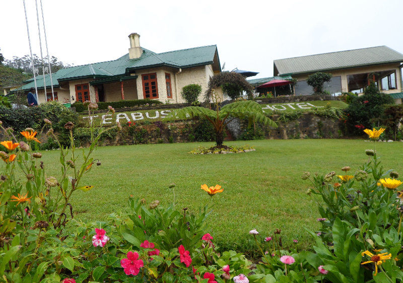 Tea Bush Hotel Nuwara Eliya Luaran gambar
